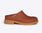 Clogs